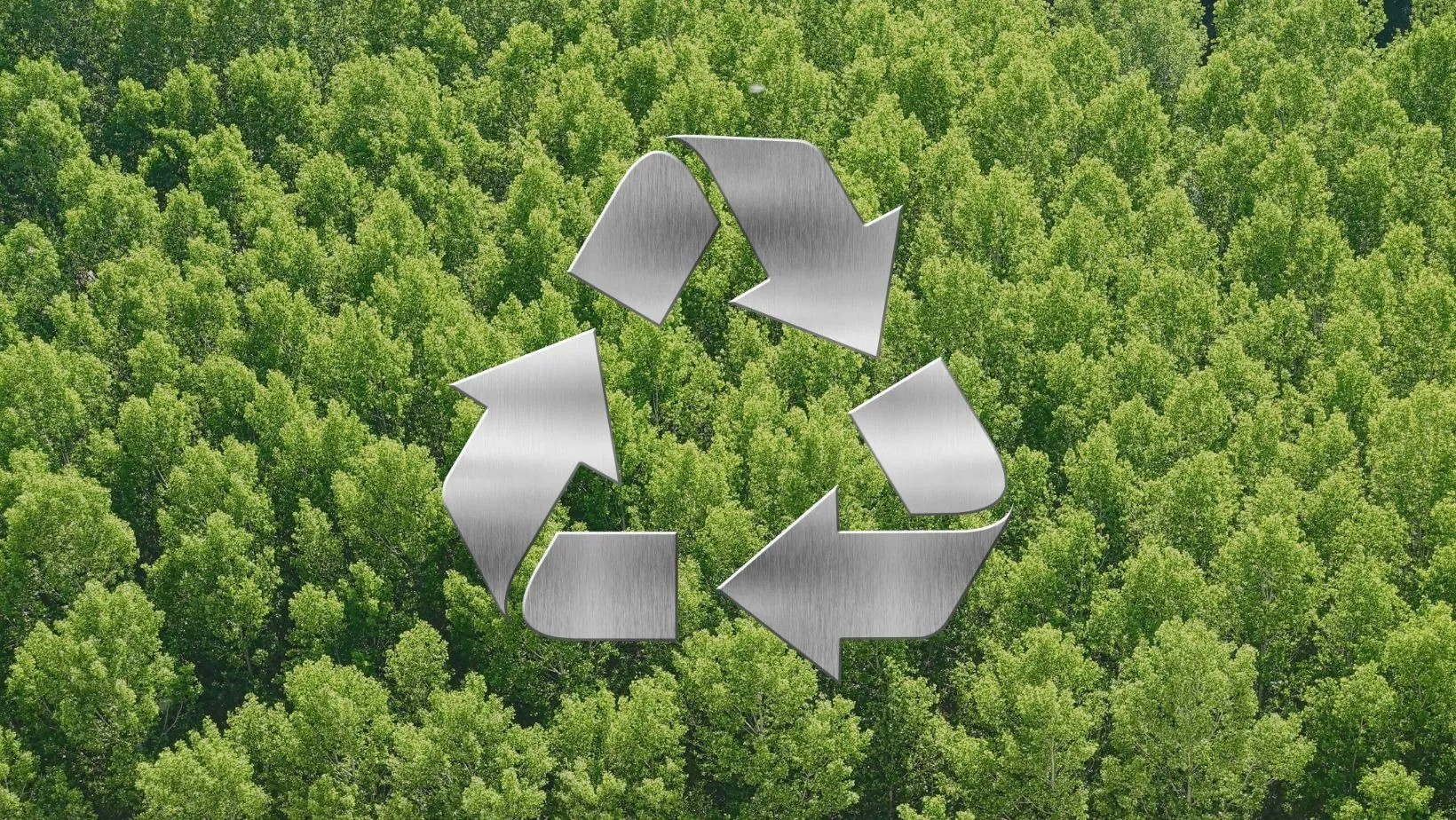 Sustainability
